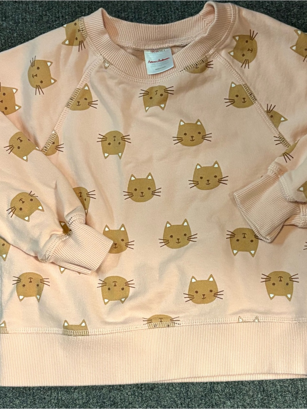 Hanna Andersson Pink Sweatshirt with Tan Cat Print